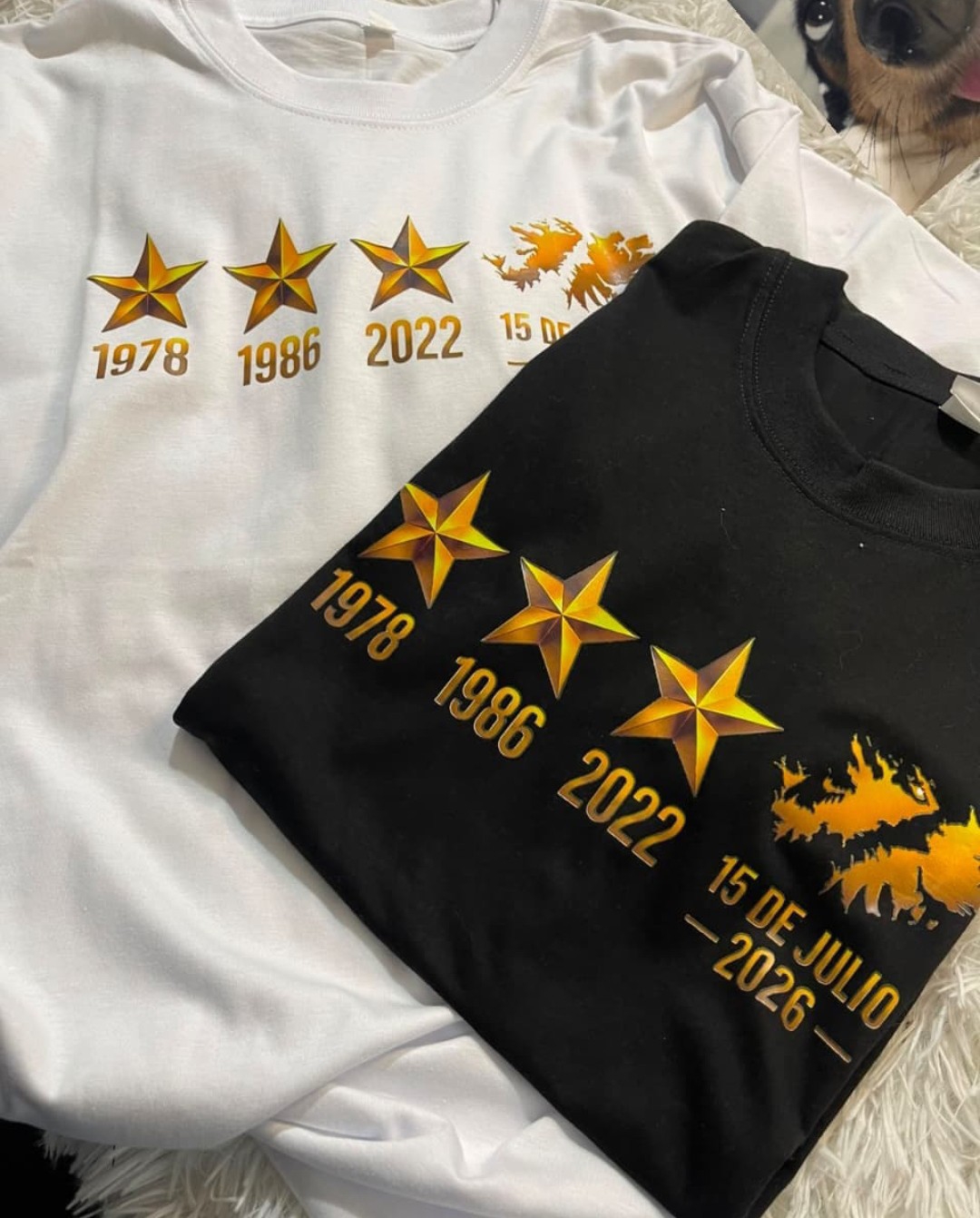 Remeras de Argentina - Imagen 4