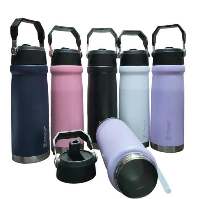 Botella Térmica de 650 Ml