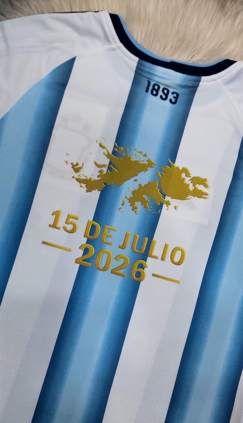 Camiseta W15 Hombre Afa - Imagen 5