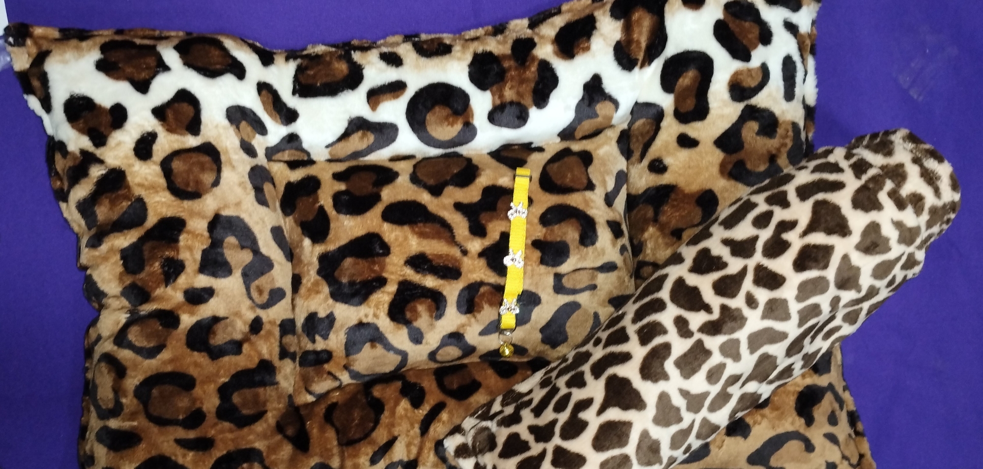 Colcho +collar+manta - Imagen 2
