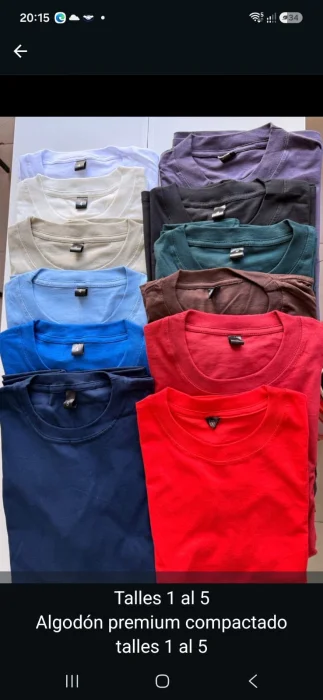 Remeras Lisas Algodón Premium
