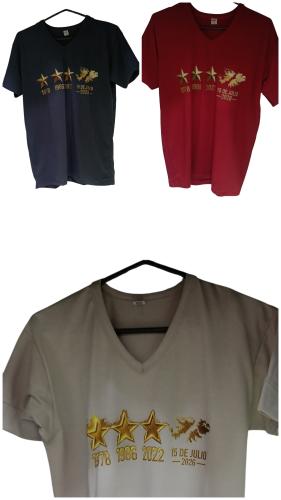 Remeras Cuello V Malvinas Argentinas