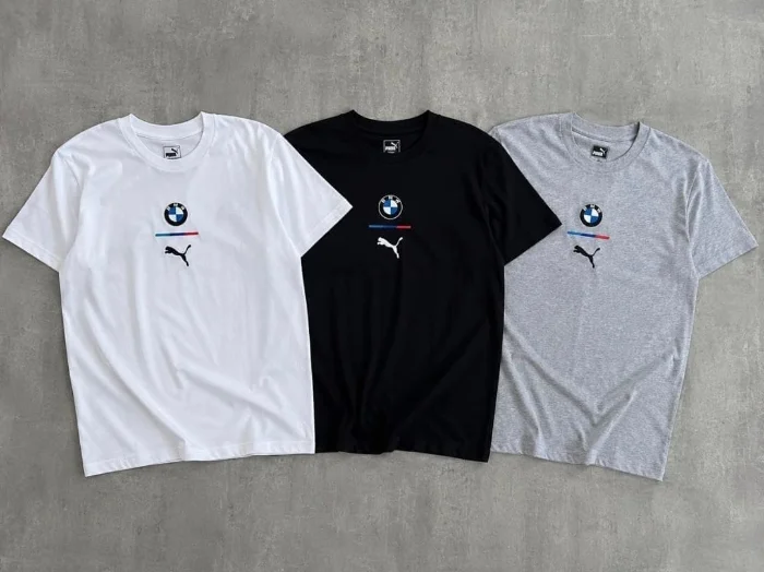 Remera Premiun Bordada de Hombre