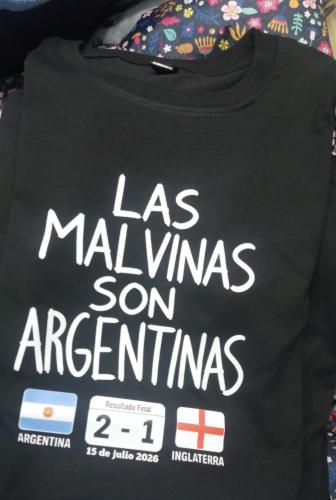 Remera las Malvinas Son Argentinas