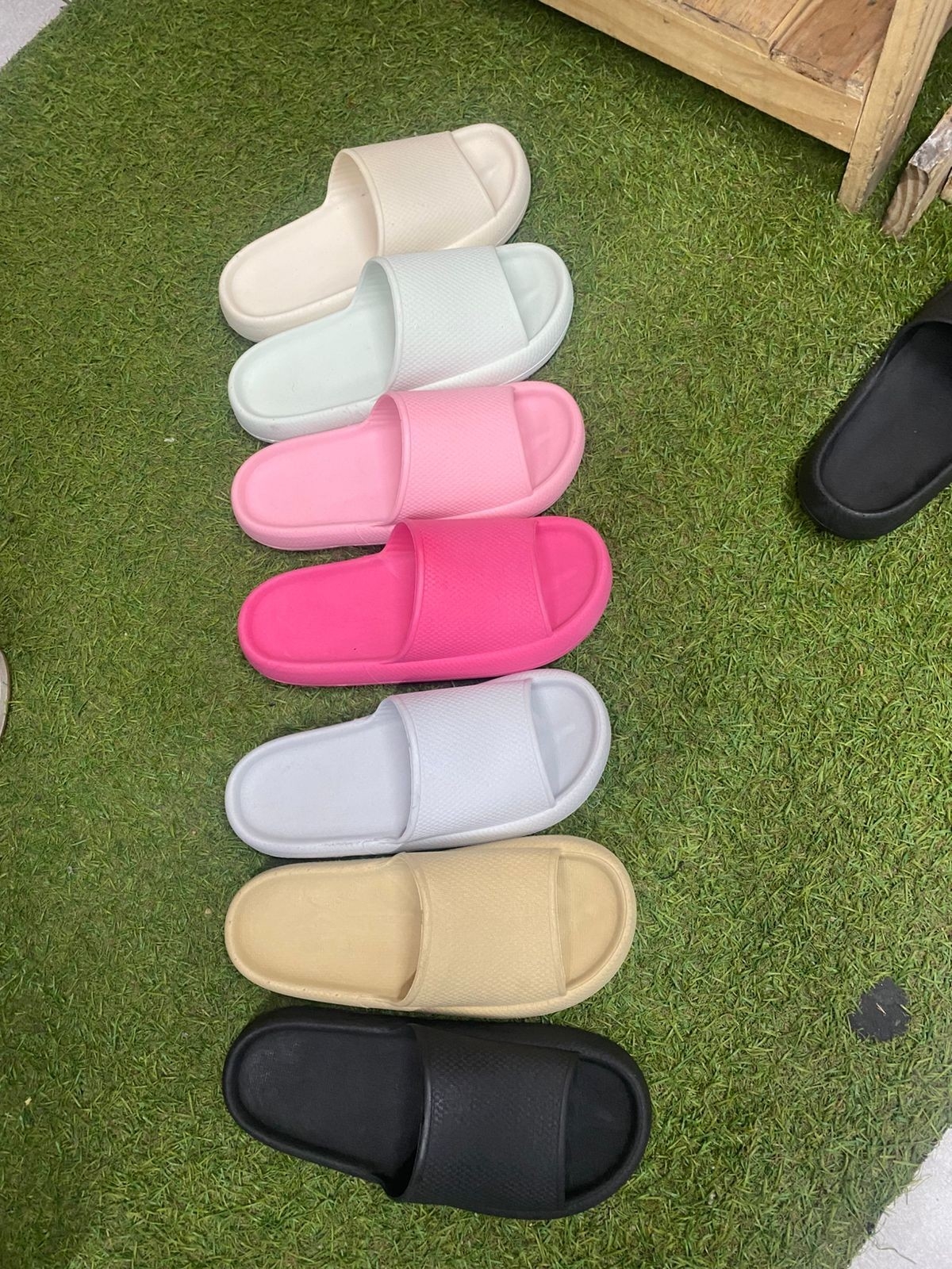 Gomon Hermosas - Imagen 2