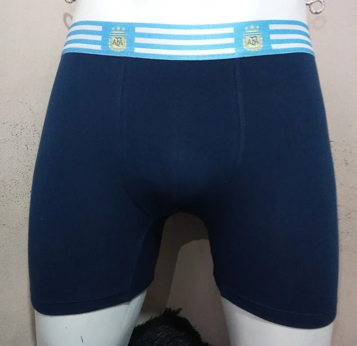 Boxer Calvin