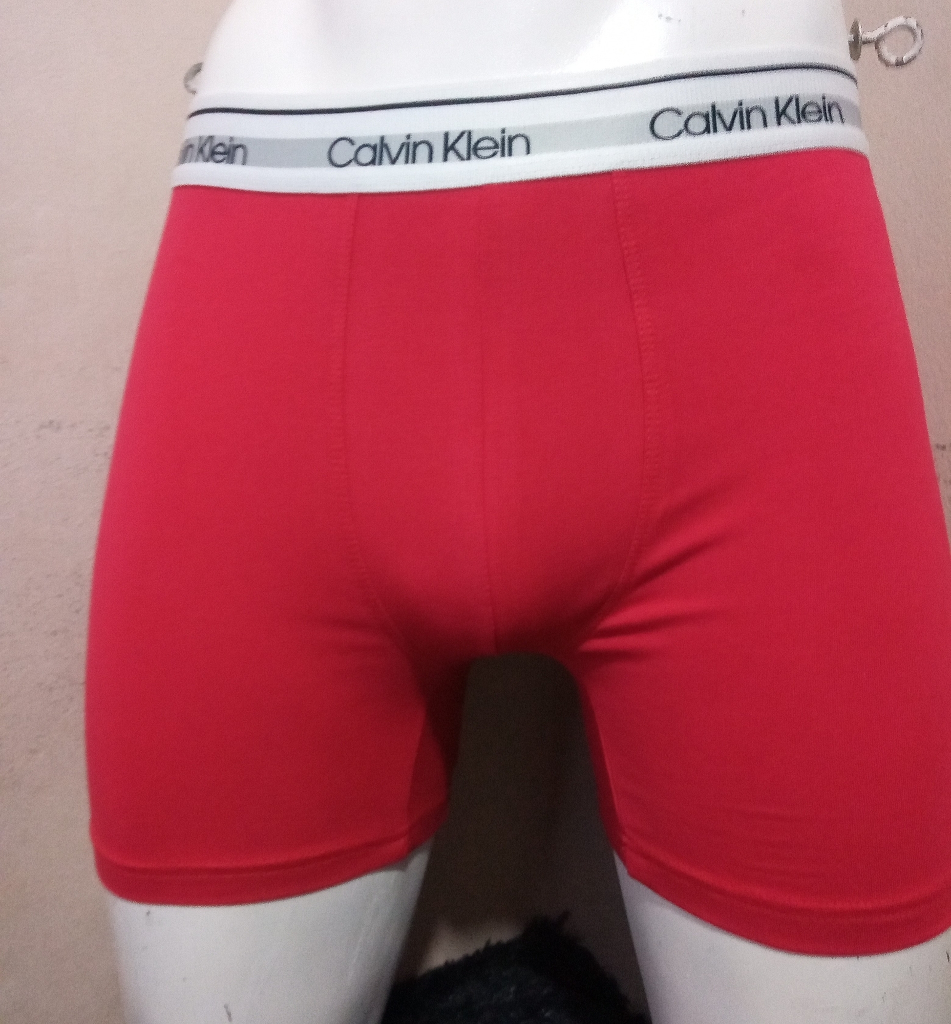Boxer Calvin - Imagen 3
