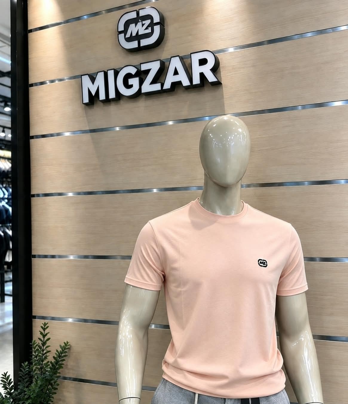 Remera Lisas Mz - Imagen 2