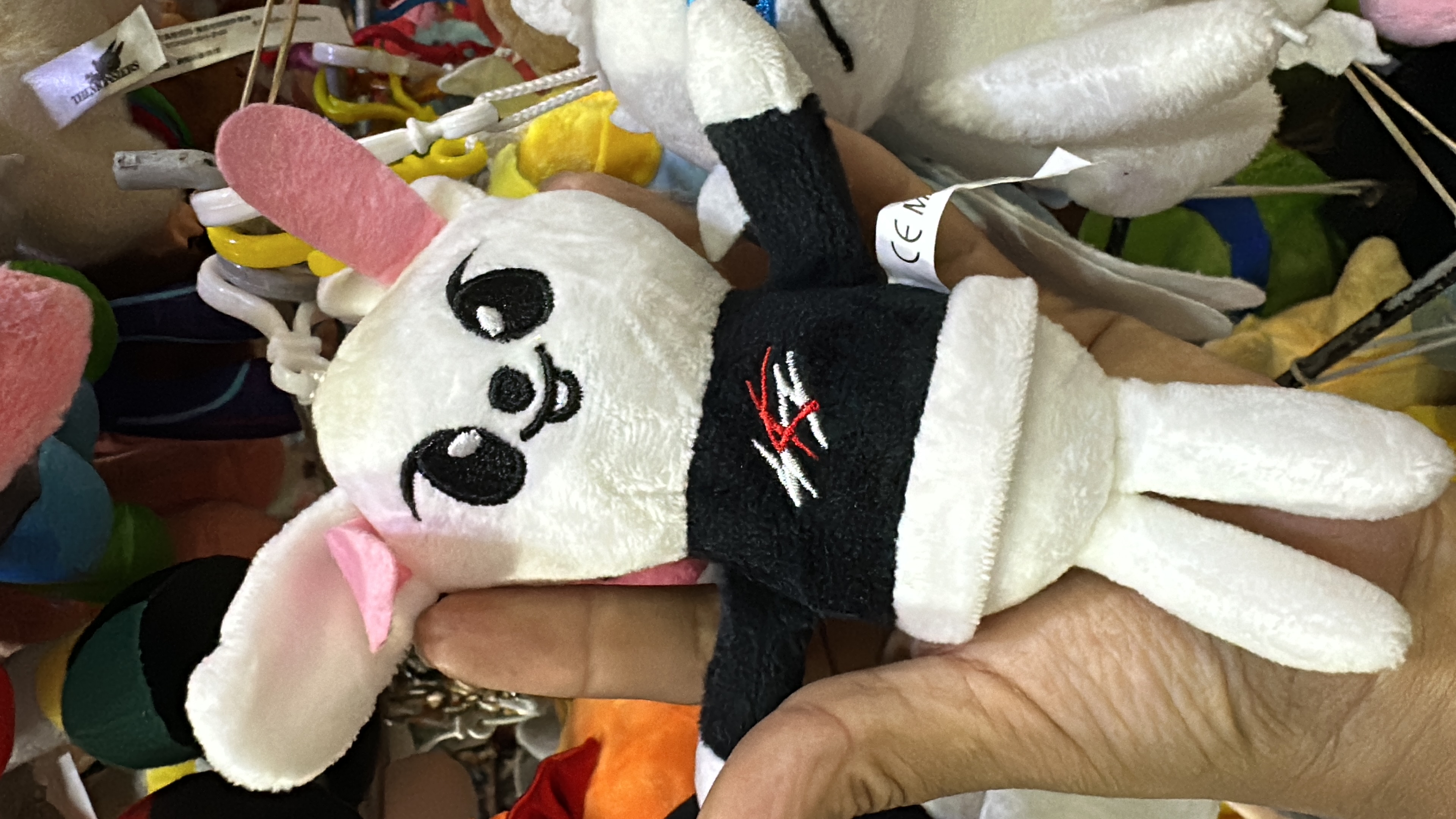 Llaveros Koreans - B092BF53-88AA-4BE4-8734-352D9FFB88E0.jpeg