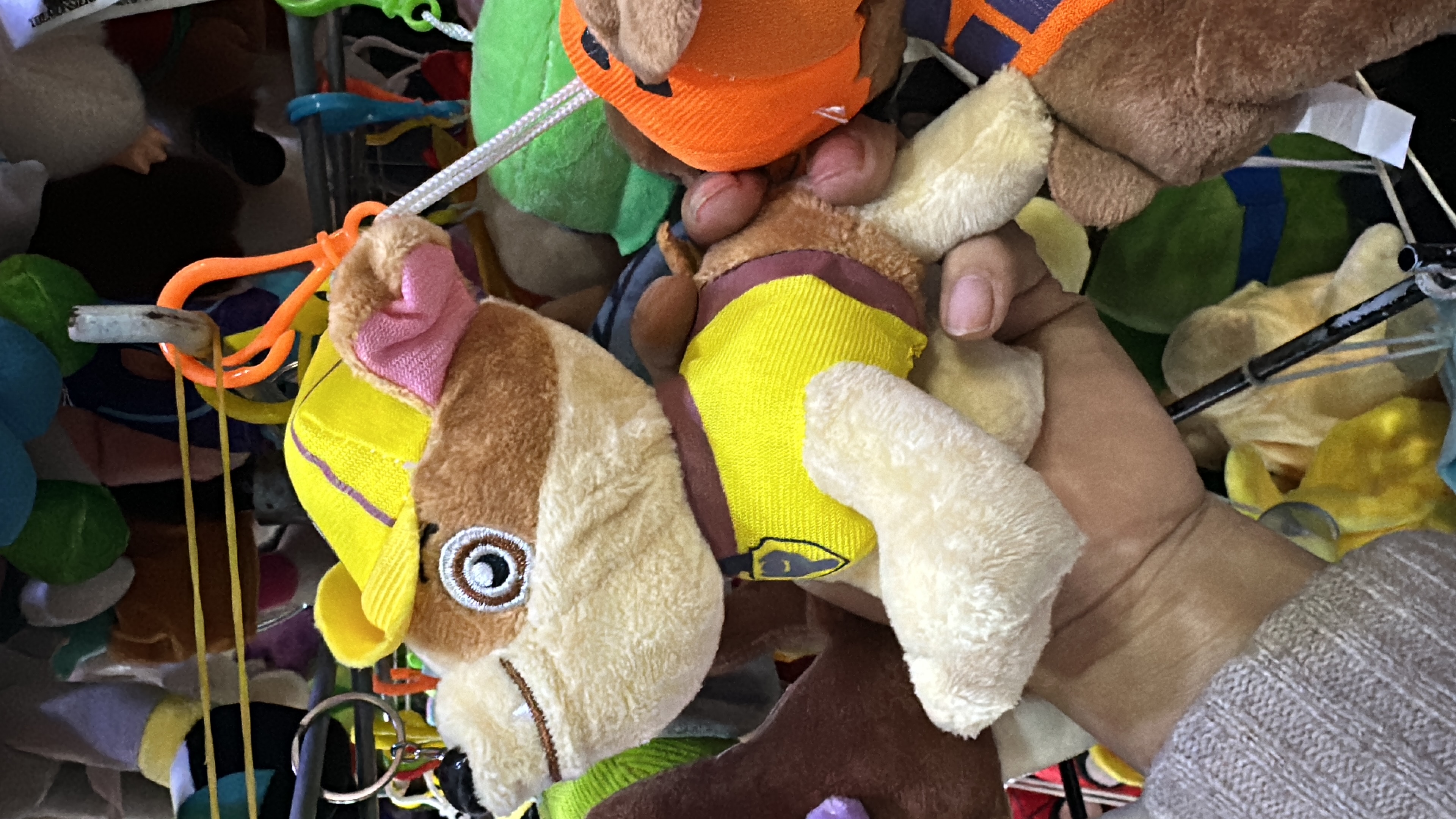 Llaveros Peluches - 60C926E5-DE92-45FE-95A7-40071851F25C.jpeg