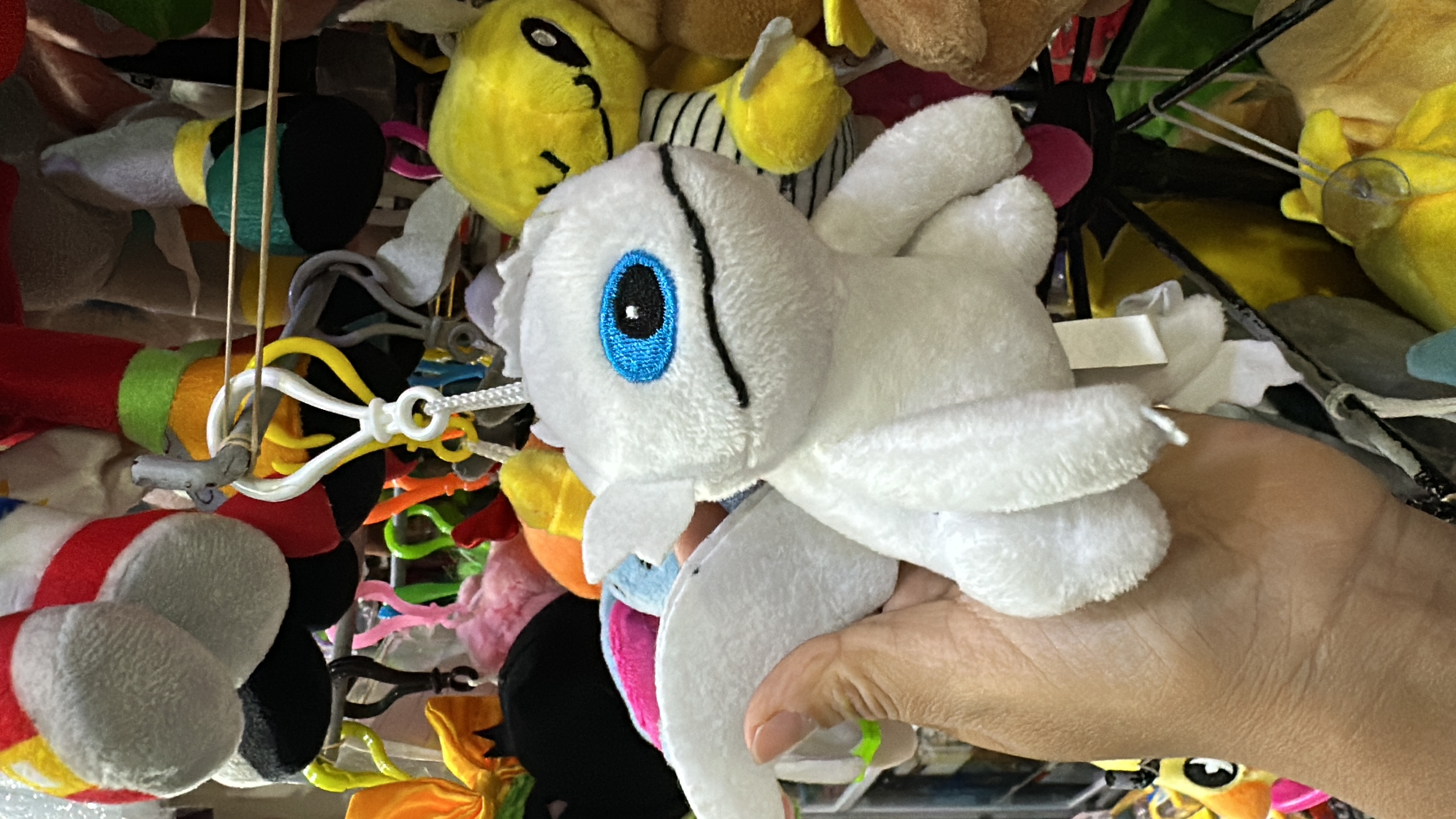 Llaveros Peluches - CB0D879F-13BA-4F4E-83A8-ED721ACC06DE.jpeg