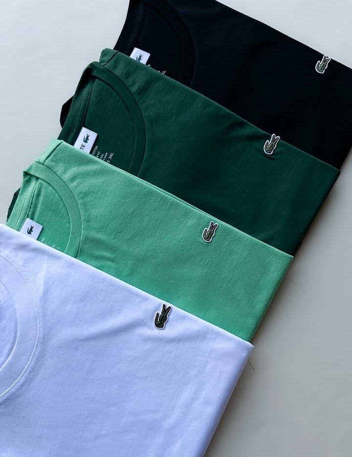 Remera The North Face - Imagen 3