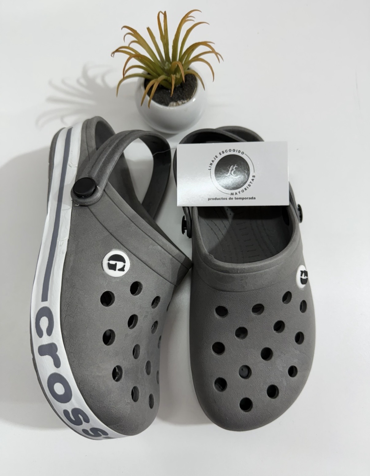 Croos - IMG_9532.jpeg