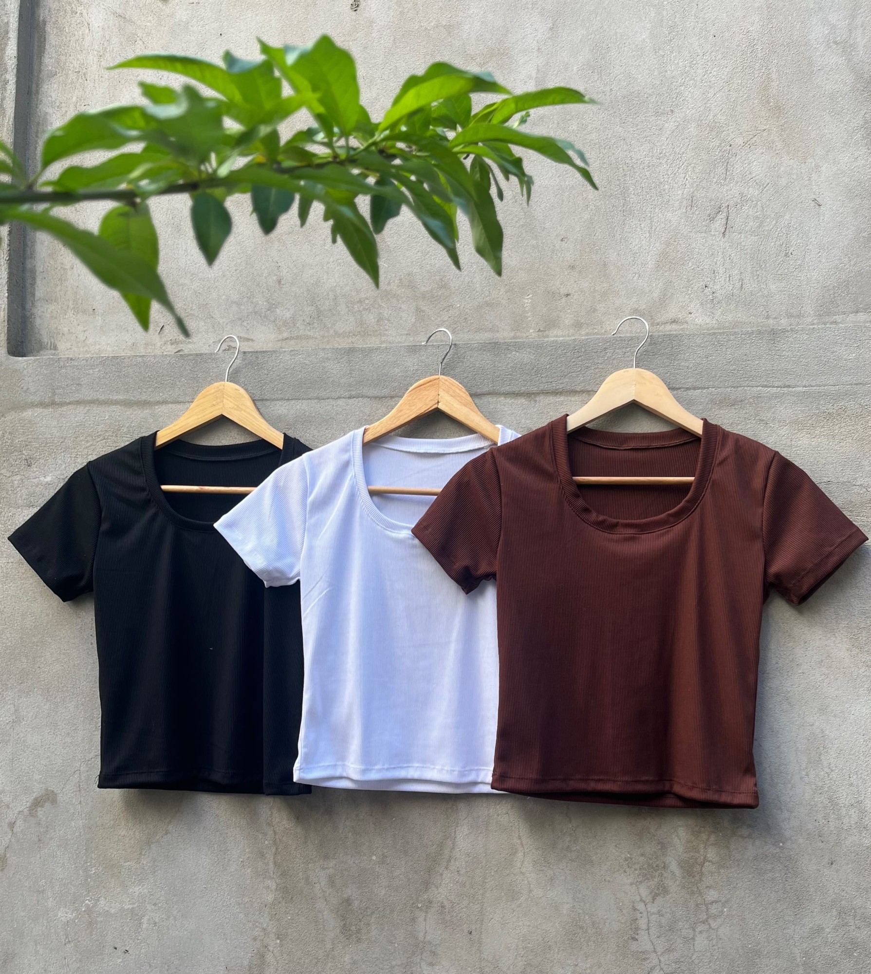 Remeras Básicas Morley Soft - Imagen 2