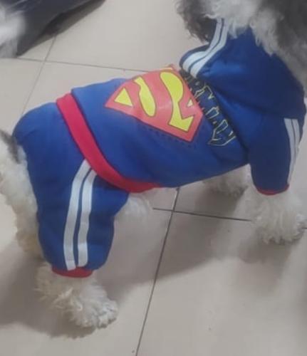 Disfraz Hombre Araña