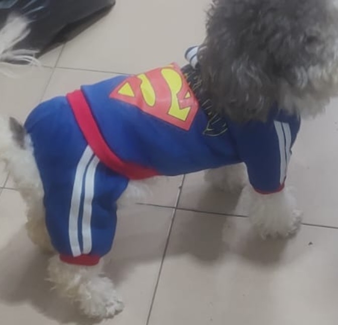 Disfraz Hombre Araña - Imagen 2