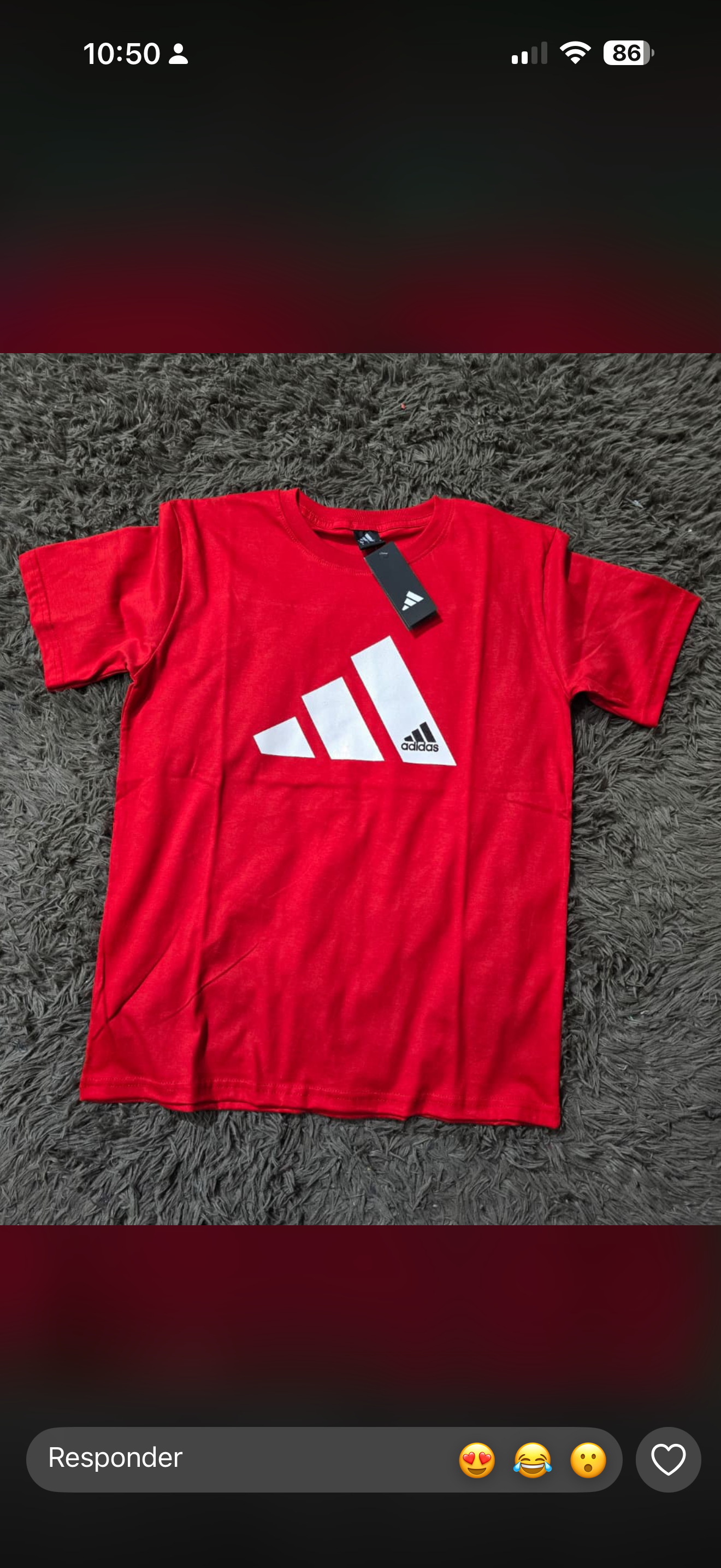 Remeras Algodón Peinado - IMG_2418.png