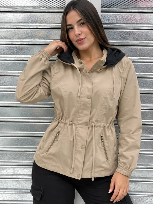 Piloto de Dama Yd