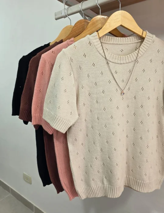 Remera de Bremer