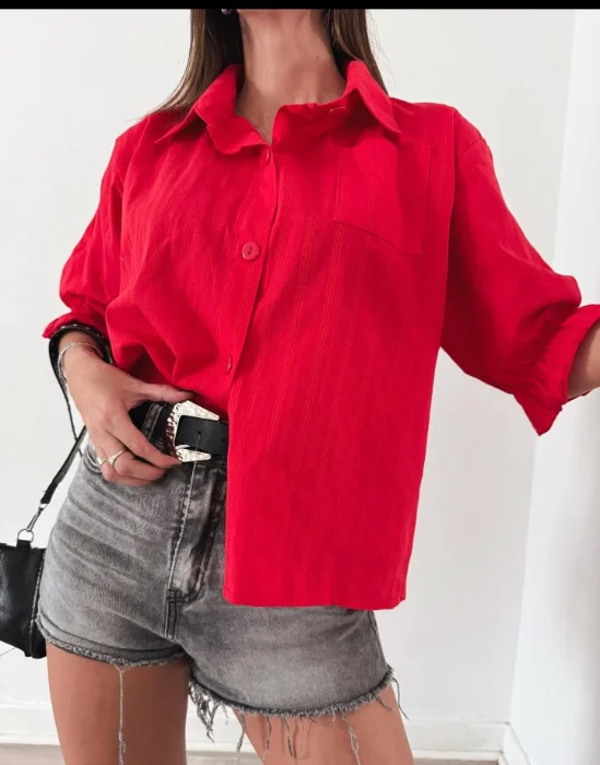 Camisa Lisa Lino