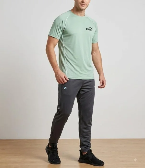 Remera Lycra Premiun