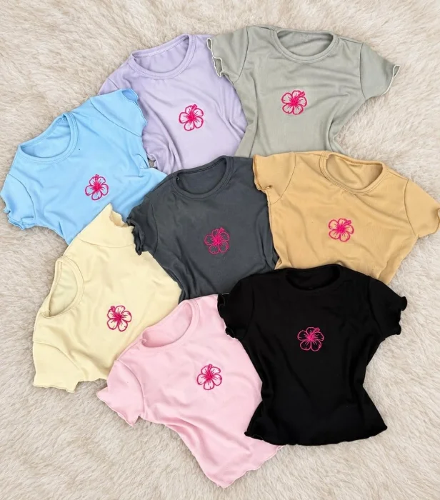 Remera Bordada Micromorley