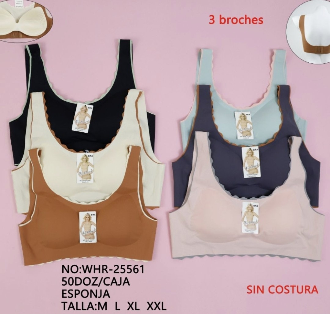 Top sin Costura Premoldeados (docena) - Imagen 2