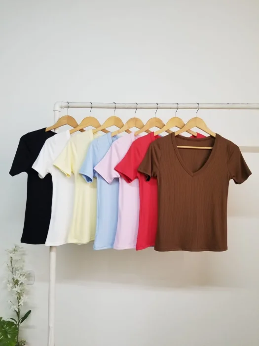 Remera Vasca