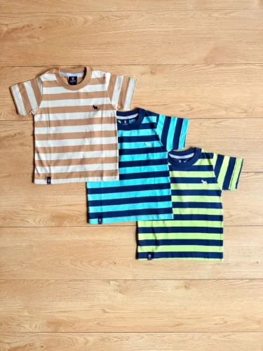 Remera Rayada