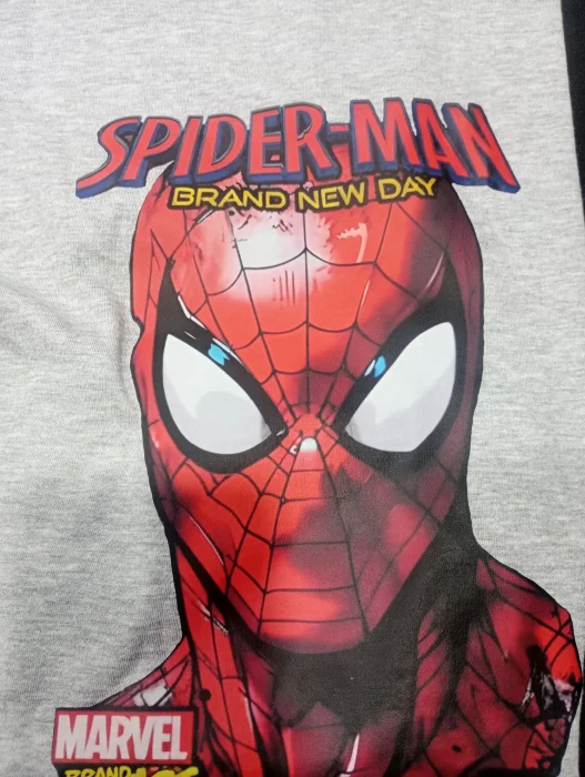 Remeras Spiderman