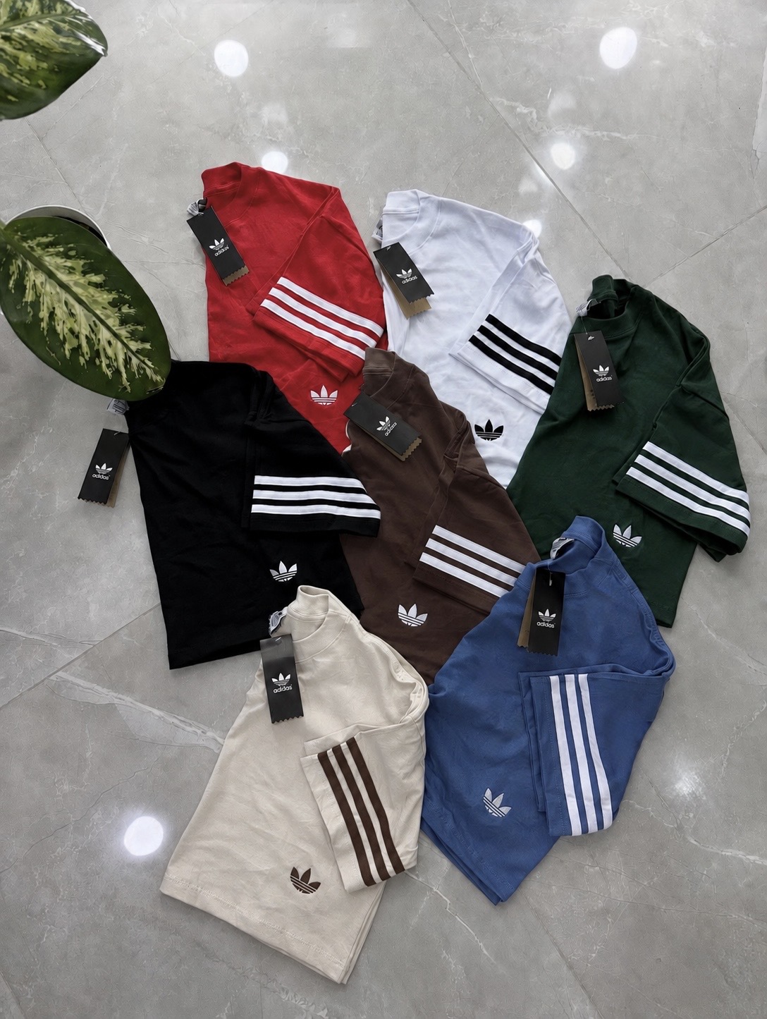Remera Crop Ad - F74B16B4-A716-4299-A155-D2B8A634E8D8.jpeg