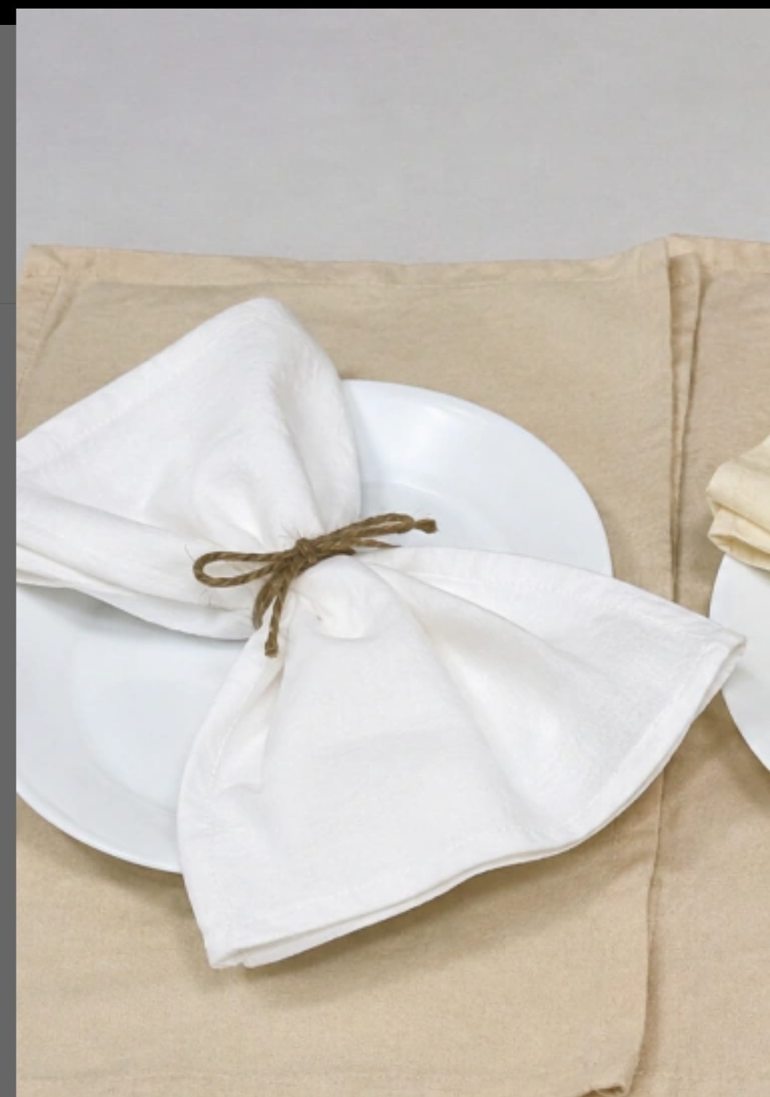 Set de 6 Servilletas Tousor - Imagen 2