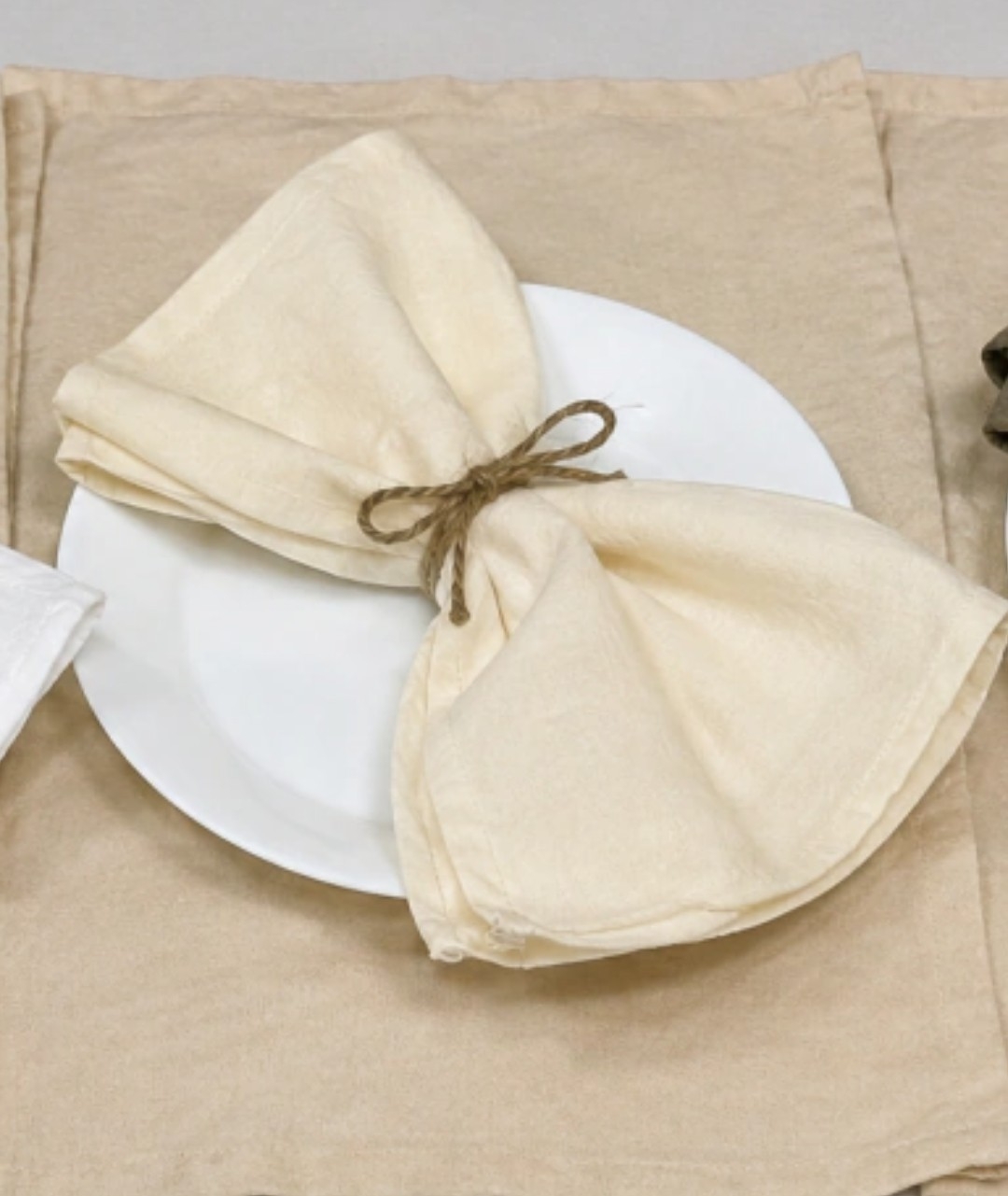 Set de 6 Servilletas Tousor - Imagen 3