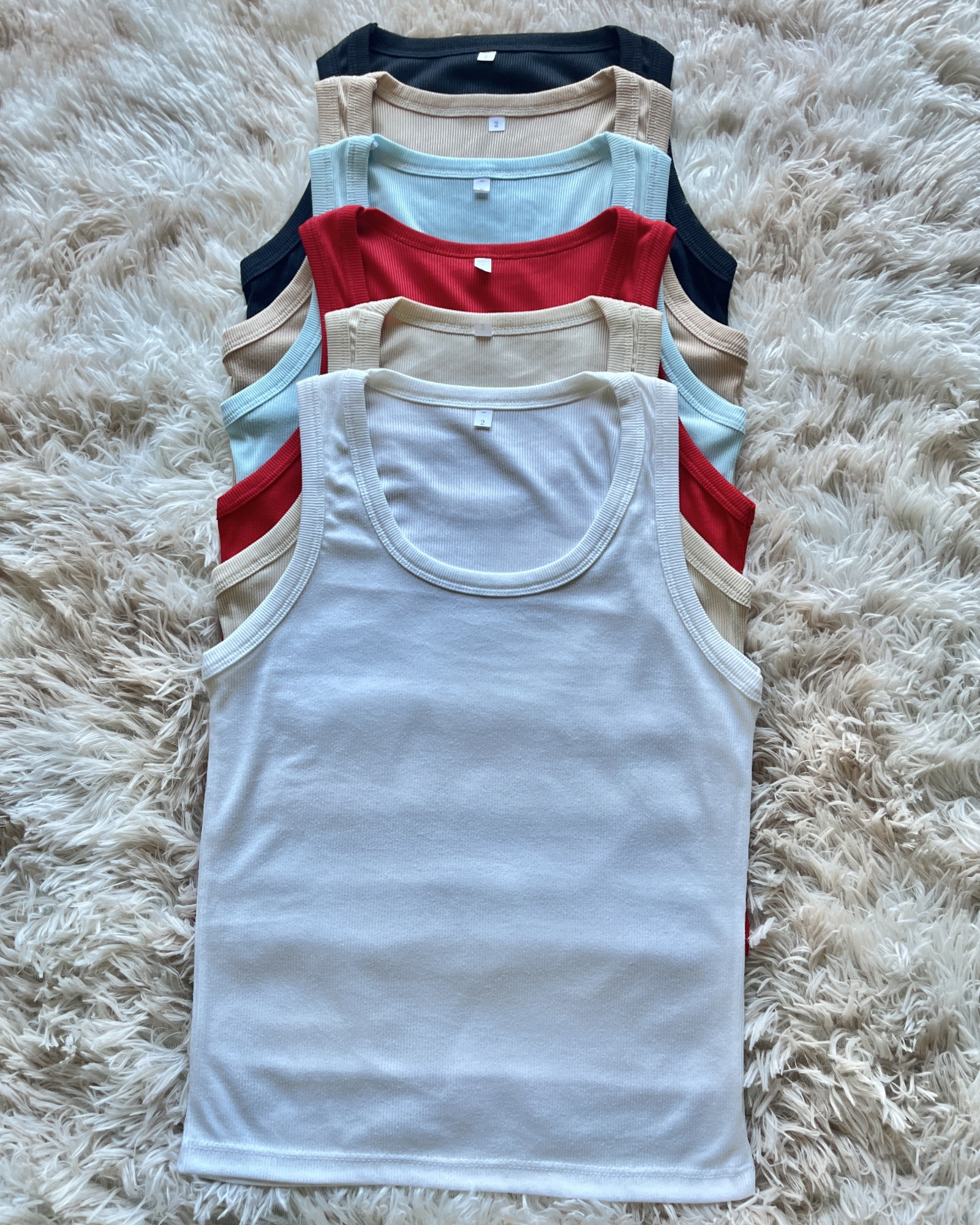 Art 340. Musculosa *fani* - Imagen 3