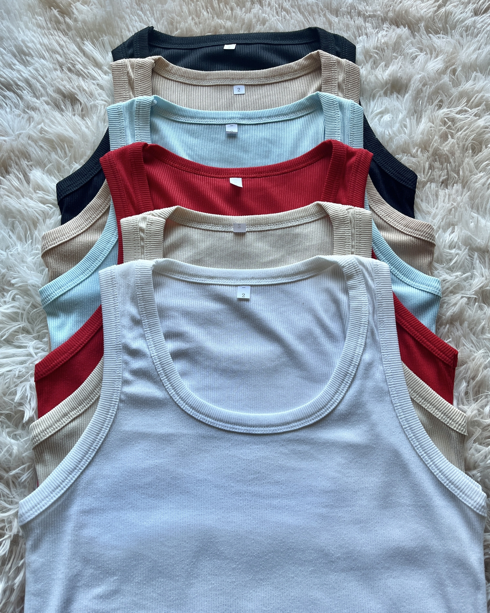 Art 340. Musculosa *fani* - Imagen 4