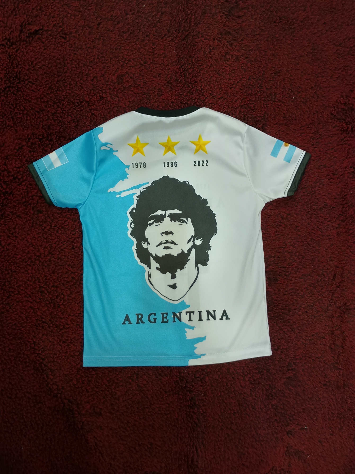 Camiseta/ Remera de Argentina - Imagen 2