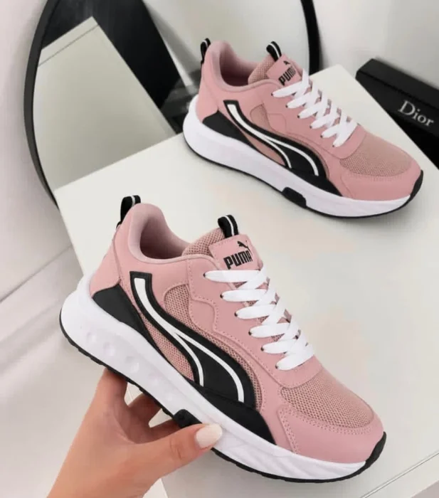 Zapas Rider