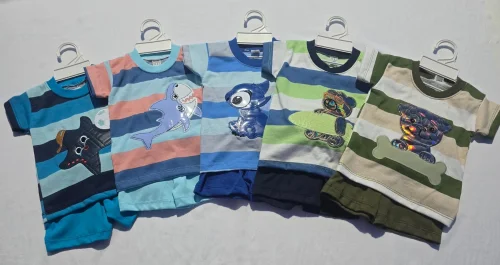 Remera Rayada