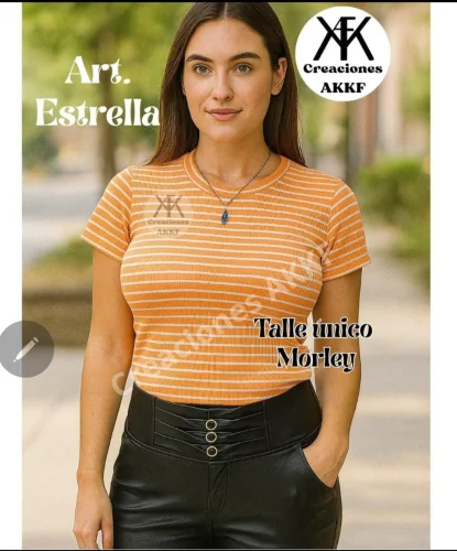 Remera Básica