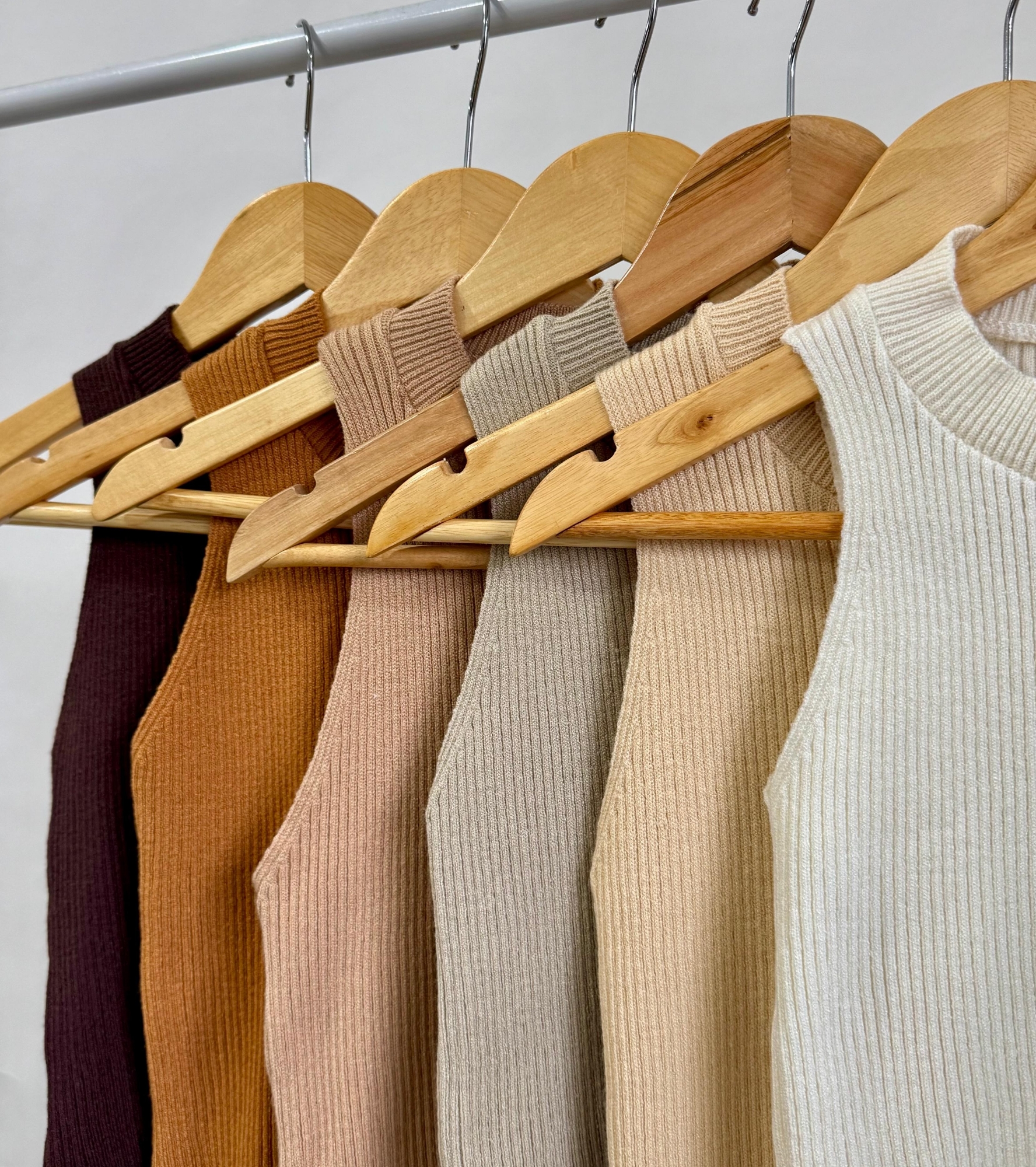 Musculosa Bremer - Imagen 6