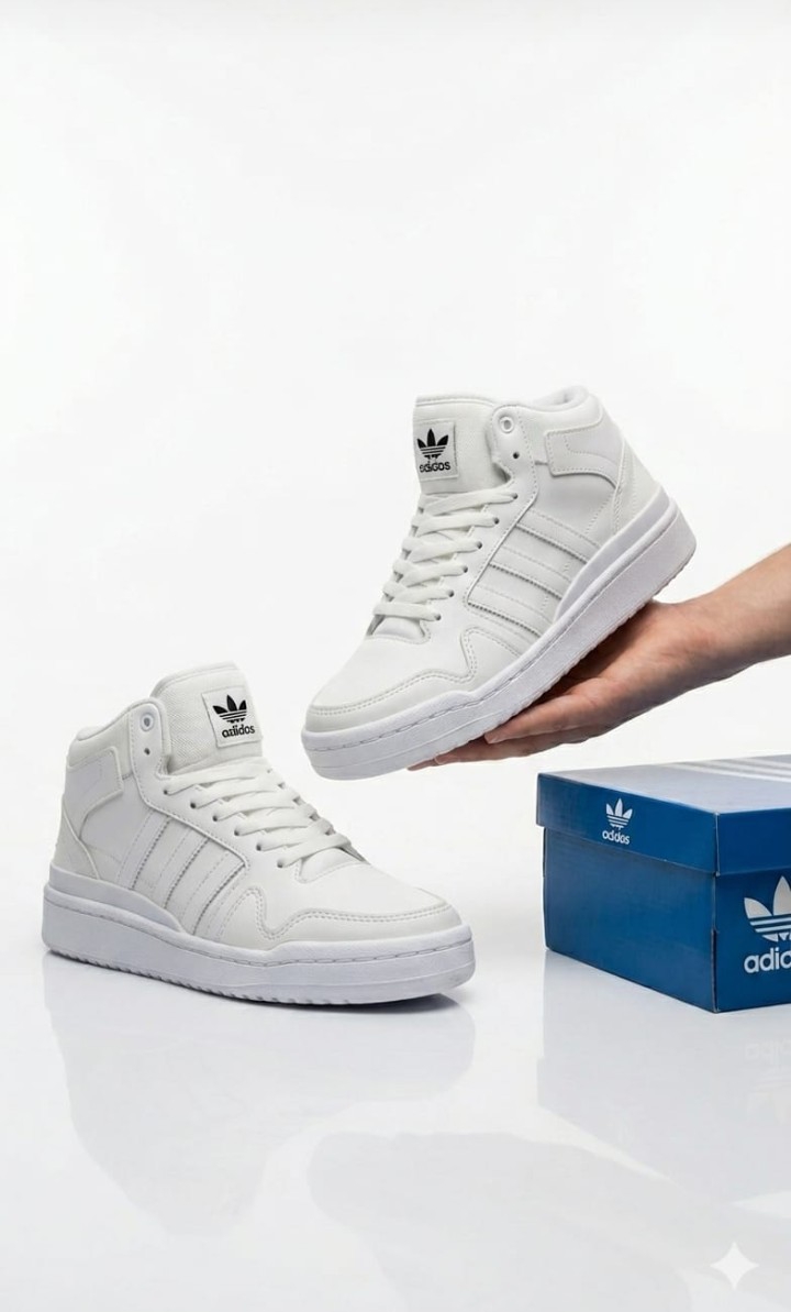 Art Bota Forum - Imagen 2