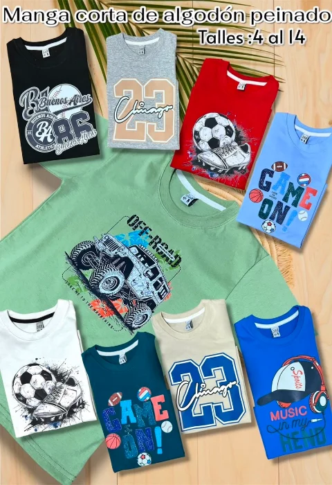 Remera de Varon en Algodón Peinado