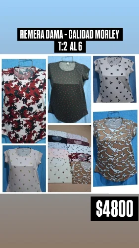 Remera Morley Estampado Dama
