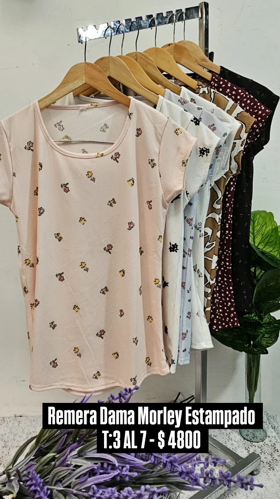Remera Morley Estampado Dama - Imagen 4