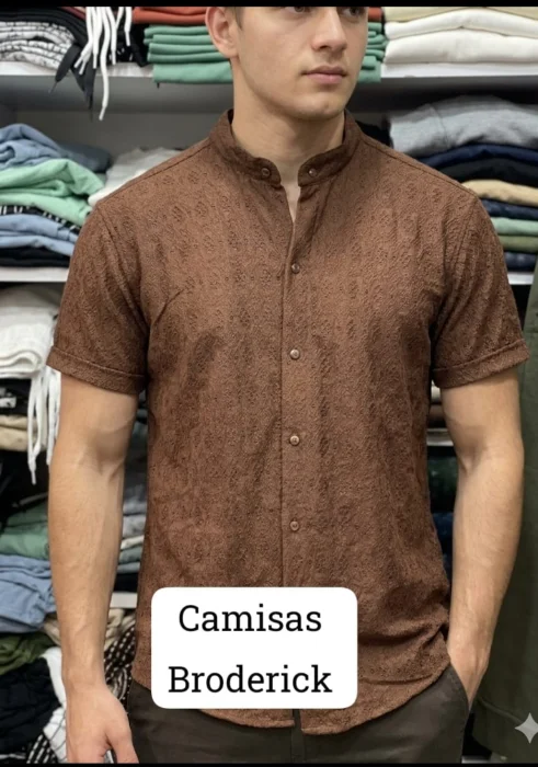 Camisas Cuello Mao de Broderick