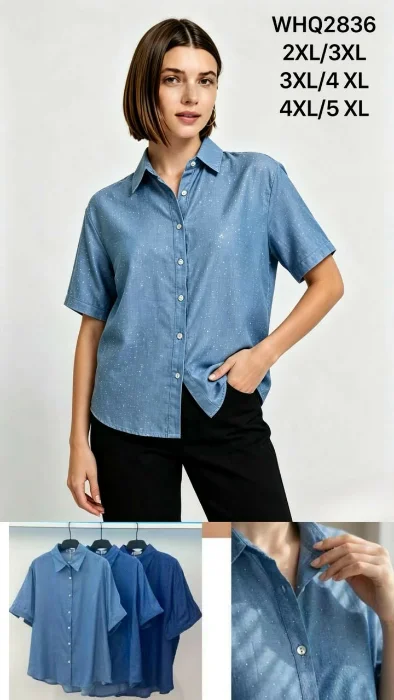 Camisa