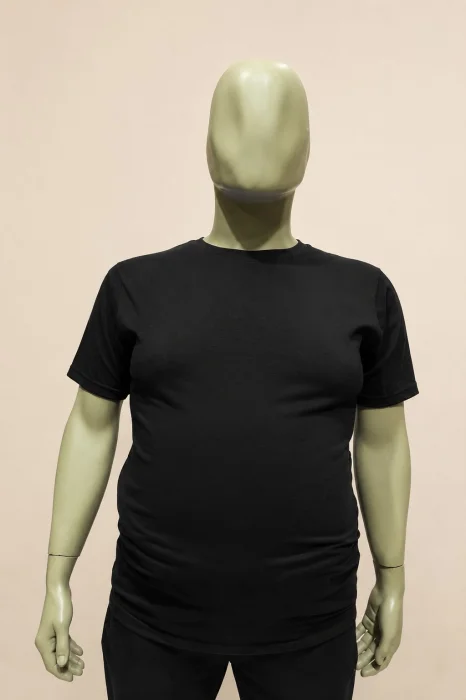 Remeras Lisas