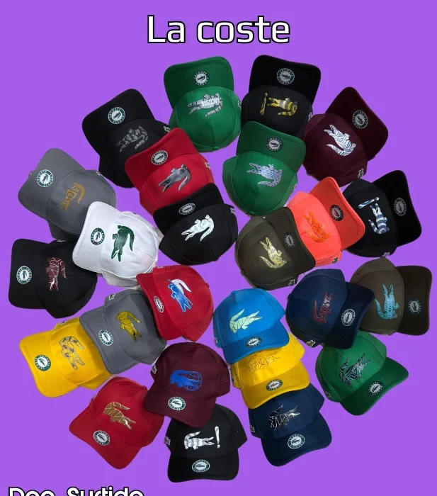 Visera Curva la Coste