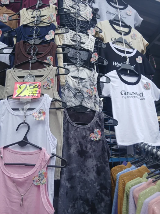 Remeras de Morley
