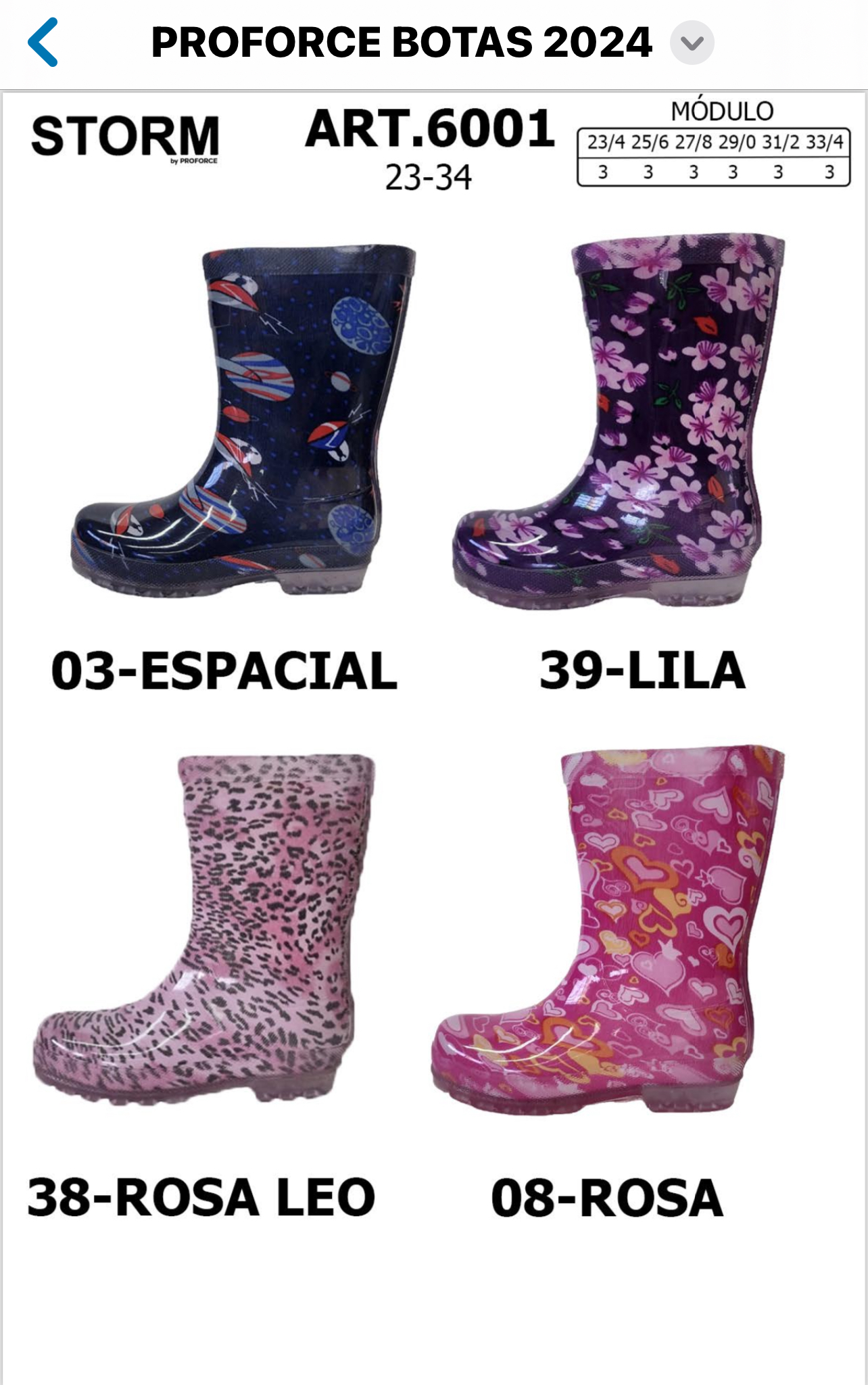 Botas de Lluvia - IMG_3139.jpeg